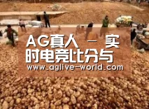 种植基地二