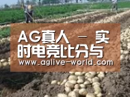 种植基地八