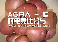 产品展示标题1
