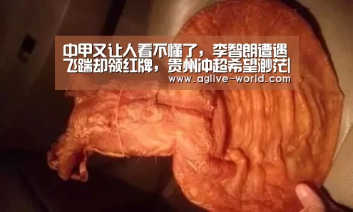 AG视讯