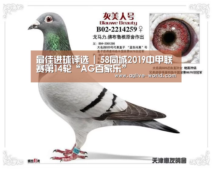最佳进球评选 | 58同城2019中甲联赛第14轮“AG百家乐”(图4) AG视讯