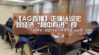 AG视讯
