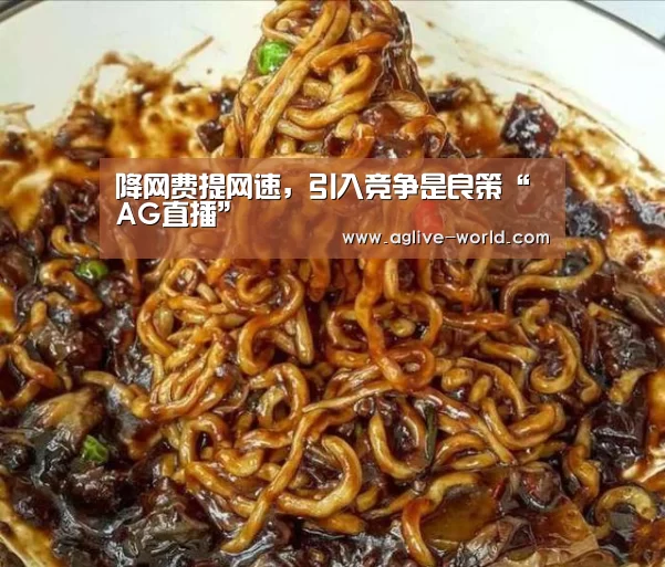 降网费提网速,引入竞争是良策“AG直播”(图1) AG百家乐