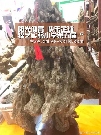 阳光体育 快乐足球 锦艺实验小学第五届“校长杯”足球联赛开幕【AG地址】(图3) AG百家乐