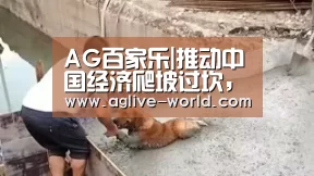 AG百家乐|推动中国经济爬坡过坎,赢得更好的未来(图4) AG百家乐